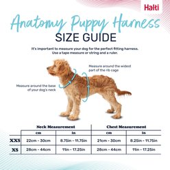 Halti Anatomy Puppy Reflective Step In Dog Harness, Grey, XX-Small: 8.25 to 11.75-in chest slide 2 of 6