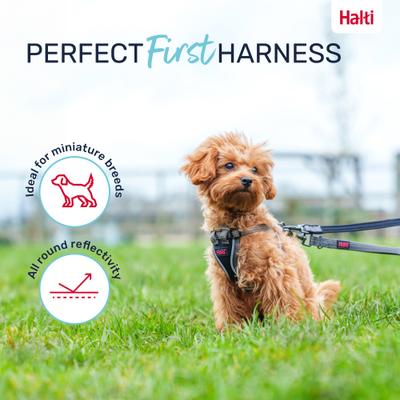 Show full view: Halti Anatomy Puppy Reflective Step In Dog Harness, Grey, XX-Small: 8.25 to 11.75-in chest slide 5 of 8