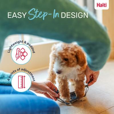 Show full view: Halti Anatomy Puppy Reflective Step In Dog Harness, Grey, XX-Small: 8.25 to 11.75-in chest slide 6 of 8
