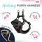 Show in main carousel: Halti Anatomy Puppy Reflective Step In Dog Harness, Grey, XX-Small: 8.25 to 11.75-in chest slide 3 of 8