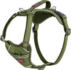Halti Anatomy Reflective Dog Harness, Green, Medium: 19 to 26.75-in chest
