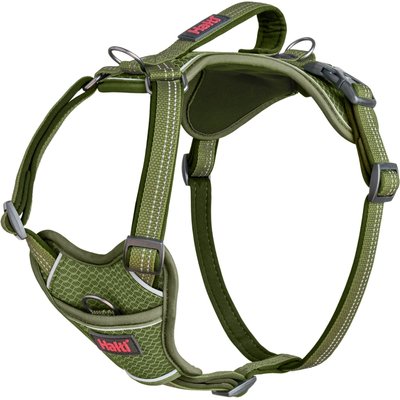 Halti Halti Anatomy Reflective Dog Harness, Green, Medium: 19 to 26.75-in chest