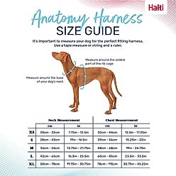 Halti Anatomy Reflective Dog Harness, Green, Small: 15.25 to 22-in chest slide 2 of 6