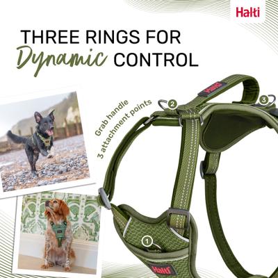Show full view: Halti Anatomy Reflective Dog Harness, Green, X-Large: 30.75 to 45.25-in chest slide 5 of 8