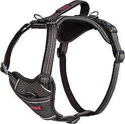 Halti Anatomy Reflective Dog Harness, Grey, Large: 23.5 to 33.5-in chest