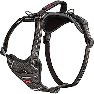 Halti Anatomy Reflective Dog Harness, Grey, Large: 23.5 to 33.5-in chest