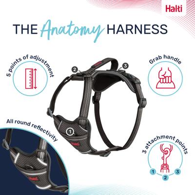 Show full view: Halti Anatomy Reflective Dog Harness, Grey, Large: 23.5 to 33.5-in chest slide 3 of 8