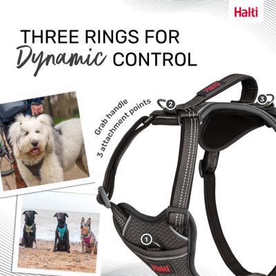 Show full view: Halti Anatomy Reflective Dog Harness, Grey, Large: 23.5 to 33.5-in chest slide 5 of 8