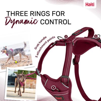 Show full view: Halti Anatomy Reflective Dog Harness, Magenta, Large: 23.5 to 33.5-in chest slide 5 of 8