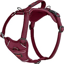 Halti Anatomy Reflective Dog Harness, Magenta, Medium: 19 to 26.75-in chest