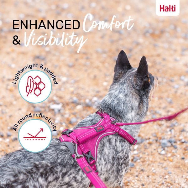 Halti Anatomy Reflective Dog Harness