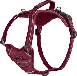 Halti Anatomy Reflective Dog Harness, Magenta, Small: 15.25 to 22-in chest
