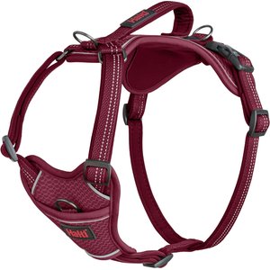 Halti Anatomy Reflective Dog Harness, Magenta, X-Large: 30.75 to 45.25-in chest
