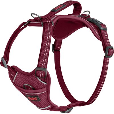 Halti Halti Anatomy Reflective Dog Harness, Magenta, X-Large: 30.75 to 45.25-in chest