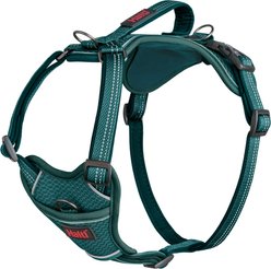 Halti Anatomy Reflective Dog Harness, Teal, Large: 23.5 to 33.5-in chest