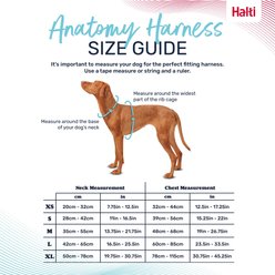 Halti Anatomy Reflective Dog Harness, Teal, Large: 23.5 to 33.5-in chest slide 2 of 6