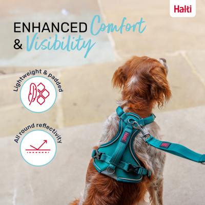 Show full view: Halti Anatomy Reflective Dog Harness, Teal, Medium: 19 to 26.75-in chest slide 7 of 9