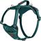 Show in main carousel: Halti Anatomy Reflective Dog Harness, Teal, Small: 15.25 to 22-in chest slide 1 of 8