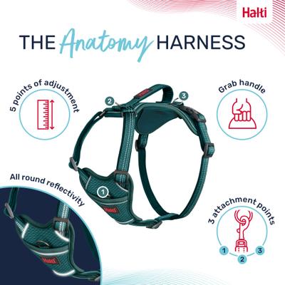 Show full view: Halti Anatomy Reflective Dog Harness, Teal, Small: 15.25 to 22-in chest slide 3 of 8
