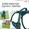 Show in main carousel: Halti Anatomy Reflective Dog Harness, Teal, Small: 15.25 to 22-in chest slide 5 of 8