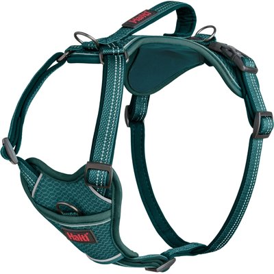 Halti Halti Anatomy Reflective Dog Harness, Teal, X-Large: 30.75 to 45.25-in chest