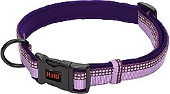 Halti Dog Collar, Purple, Large