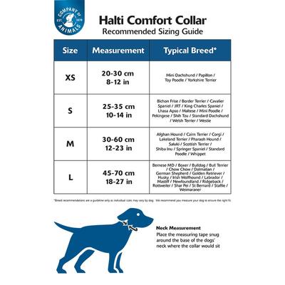 Show full view: Halti Dog Collar, Purple, Large slide 3 of 5