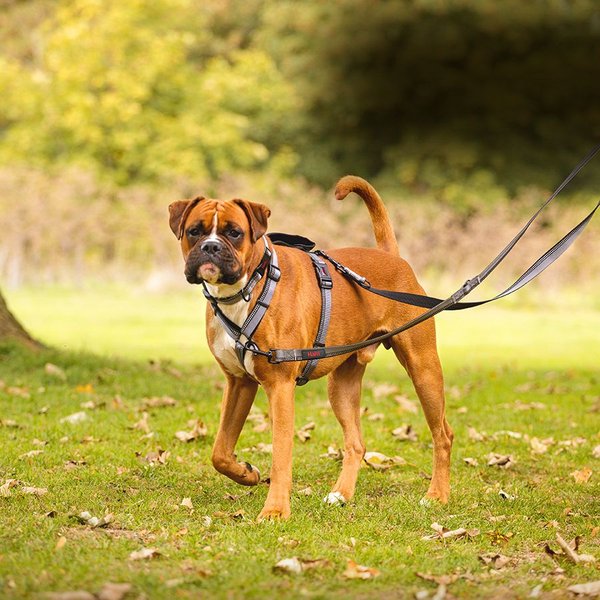 Halti Double Ended Lead Dog Leash