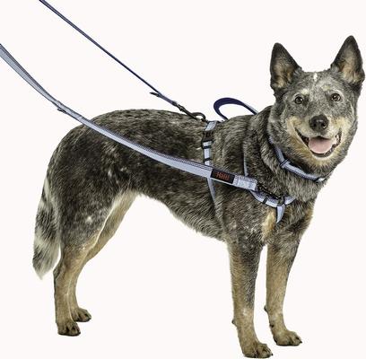 Show full view: Halti Double Ended Lead Dog Leash, Red, Large slide 3 of 5