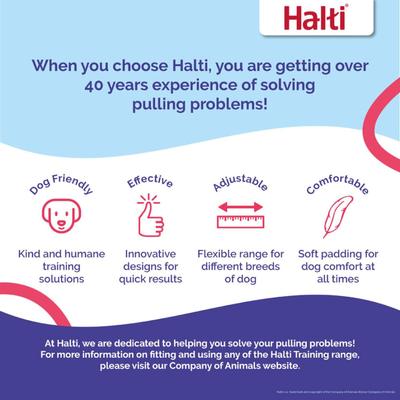 Show full view: Halti Lead Adjustable Training Dog Leash, Cobalt Blue, Large slide 4 of 5