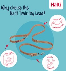 Halti Lead Adjustable Training Dog Leash, Desert Sand, Large slide 2 of 6