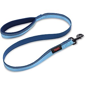 Halti Lead Dog Leash, Blue, Small