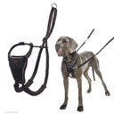 Halti Nylon No Pull Dog Harness, Large: 18.9 to 25.98-in chest
