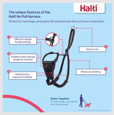 Show full view: Halti Nylon No Pull Dog Harness, Large: 18.9 to 25.98-in chest slide 3 of 9