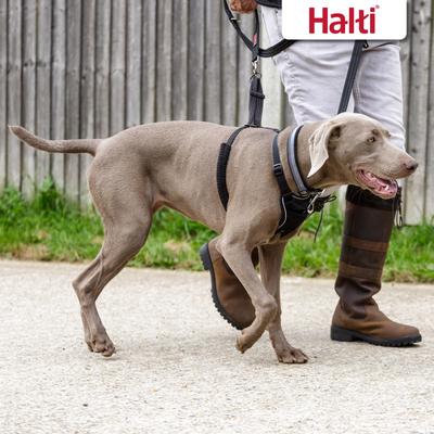Show full view: Halti Nylon No Pull Dog Harness, Large: 18.9 to 25.98-in chest slide 6 of 9