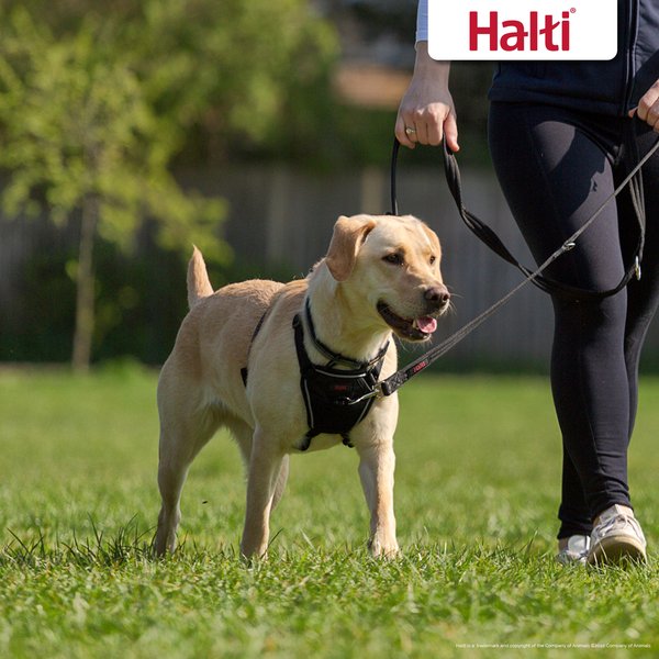 Halti Nylon No Pull Dog Harness
