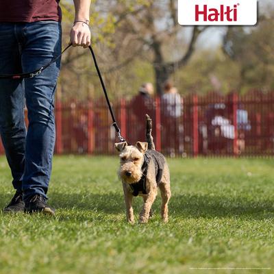 Show full view: Halti Nylon No Pull Dog Harness, Small: 10.24 to 14.17-in chest slide 5 of 8