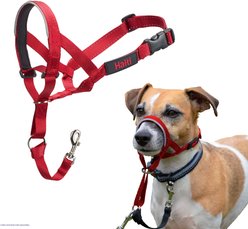 Halti Nylon Padded No Pull Dog Headcollar, Red, Size 1 slide 1 of 6