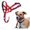 Show in main carousel: Halti Nylon Padded No Pull Dog Headcollar, Red, Size 1 slide 1 of 10
