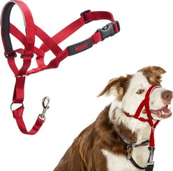 Halti Nylon Padded No Pull Dog Headcollar, Red, Size 2