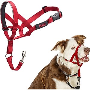 Halti Nylon Padded No Pull Dog Headcollar, Red, Size 2