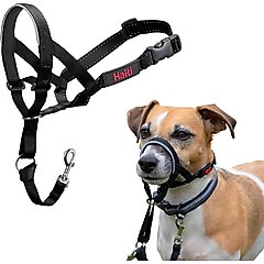 Halti Nylon Padded No Pull Dog Headcollar, Size 1: 12 to 15.5-in neck