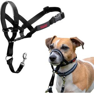 Halti Nylon Padded No Pull Dog Headcollar, Size 1: 12 to 15.5-in neck