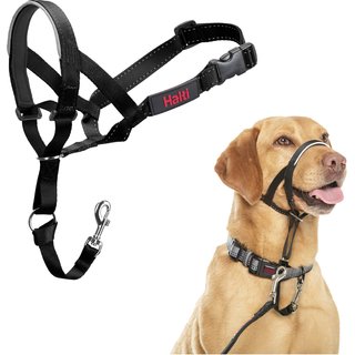 Halti Nylon Padded No Pull Dog Headcollar, Size 3: 15.5 to 21-in neck slide 1 of 9