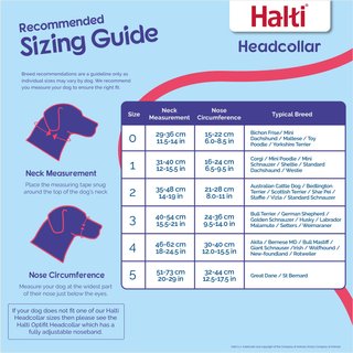 Halti Nylon Padded No Pull Dog Headcollar, Size 3: 15.5 to 21-in neck slide 3 of 9