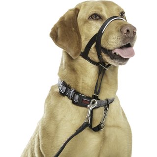 Halti Nylon Padded No Pull Dog Headcollar, Size 3: 15.5 to 21-in neck slide 7 of 9