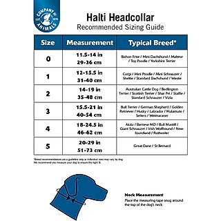 Halti Nylon Padded No Pull Dog Headcollar, Size 3: 15.5 to 21-in neck slide 8 of 9