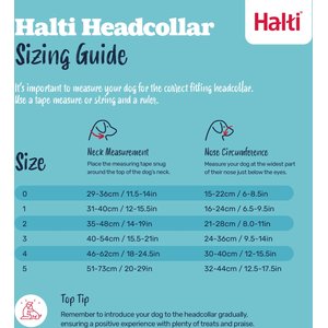 Halti Nylon Padded No Pull Dog Headcollar, Size 3: 15.5 to 21-in neck