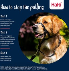 Halti Nylon Padded No Pull Dog Headcollar, Size 3: 15.5 to 21-in neck slide 2 of 5