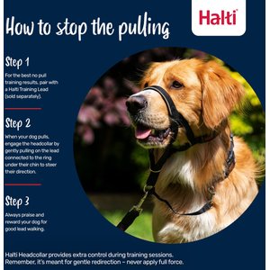 Halti Nylon Padded No Pull Dog Headcollar, Size 3: 15.5 to 21-in neck